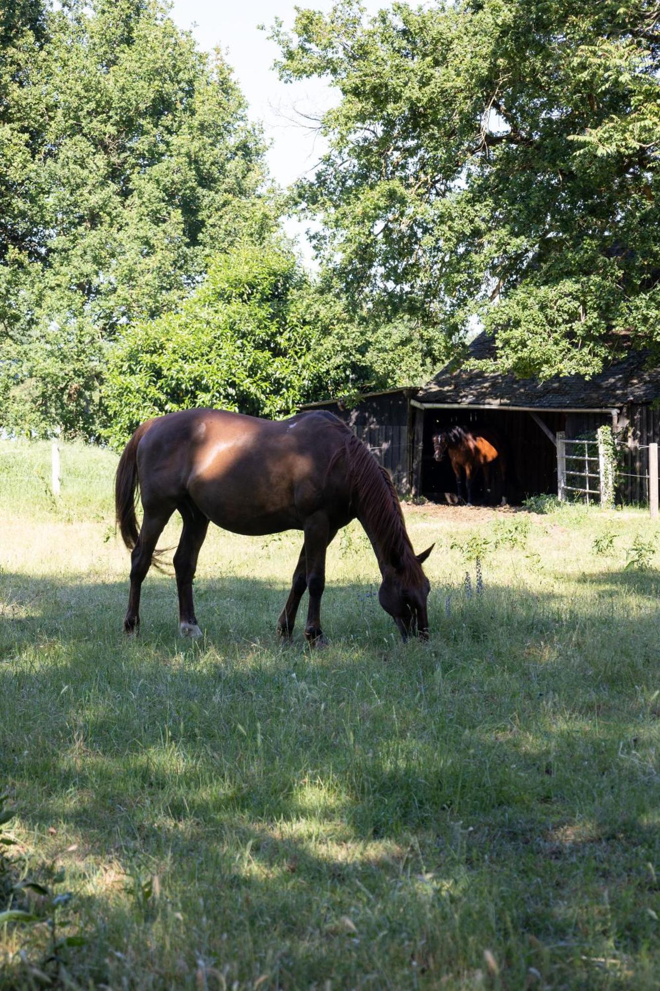 La Foutelaie